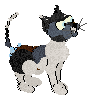 Profile image of Vanilla's Splash Accent at SeaGlass