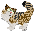 Profile image of Schastye Of Thunder