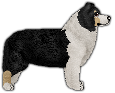 Profile image of Expedition BEATIFUL PEOPLE