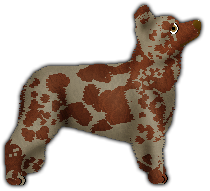 Profile image of Willowdance's Lonely Day