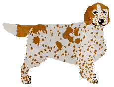 Profile image of Dragosani NIEREALNE OGNISKA