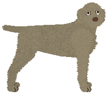 Profile image of Willowmoor Red Rover