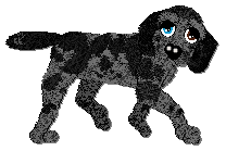 Profile image of Frogbowl The Frightened Girl