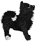 Tähti Keeping Watch — “Greger”