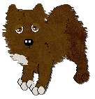 Profile image of Tähti Boldy Beautiful