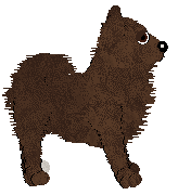 Tähti The Gentle Dog — “Klemens”