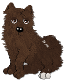 Profile image of Tähti The Gentle Dog