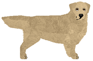 Profile image of MORPHEE's Metztli
