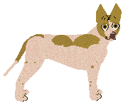 Profile image of Lustre The Forgotten Pistolero