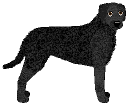 Profile image of MORPHEE's Sammael