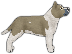 Profile image of Kamvis' Dog in the Fog