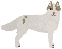 Profile image of Ventine SNOW NOSE