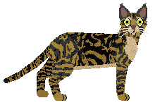 Tahnim Dragon of Westeros — “Khaleesi”