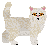 Cymophane A Drawn-Out Raaaaaaah — “Cotinga”