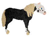 Profile image of Wapiti's Just A Little Bit