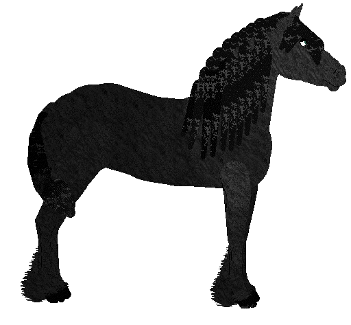 Profile image of Mockingbird's Black Orchid