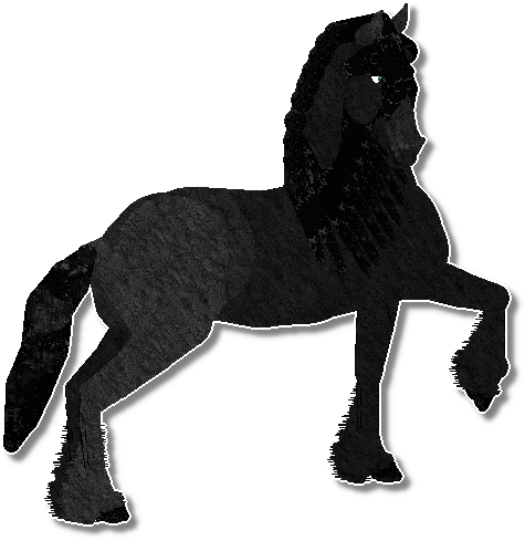 Profile image of Mockingbird's Black Orchid