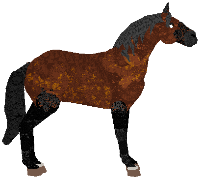Profile image of Chastiefol's Freeway Frenzy