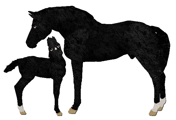 Profile image of Cinquefoil's Rhythm of The Night