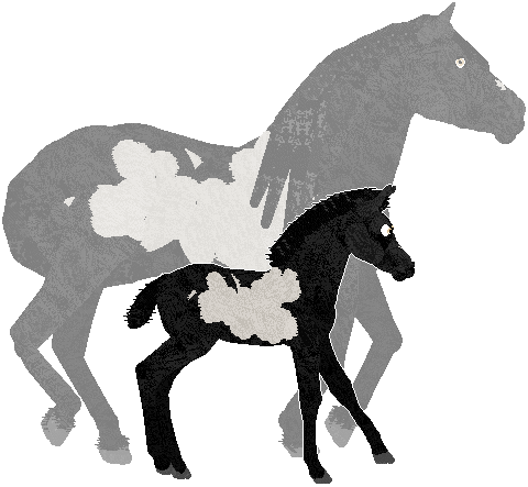 Profile image of Palomar's Hit the Jackpot