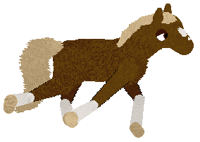 Mockingbird's Little Desert Orchid at SD — “Orchid”