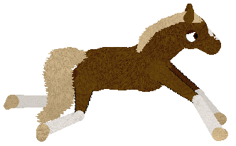 Mockingbird's Little Desert Orchid at SD — “Orchid”