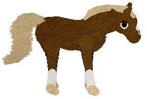 Profile image of Mockingbird's Little Desert Orchid at SD