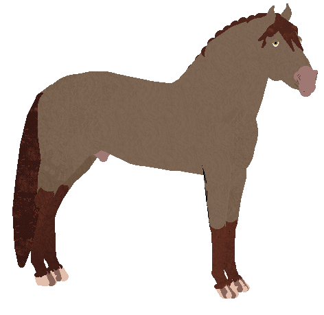 Profile image of Valenciano OS