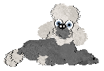 Winter's Itsy Bitsy Poodle — “Bitsy”
