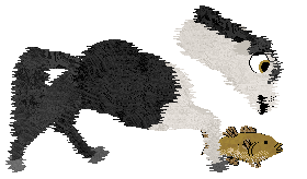 Wintervale's Missing A Piece @ Mockingbird — “Spooky”