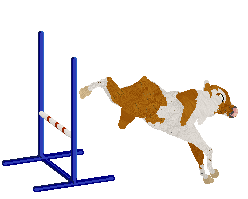 Wapiti/Mockingbird's Lot Better — “Sharpie”