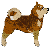 Profile image of Kitsune's Eight Koi of Monkshood