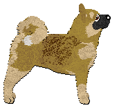Profile image of Kitsune's Sumire Spring of Monkshood