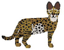 Macavity Pandoran War — “Neytiri”