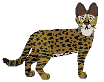 Profile image of Macavity Pandoran War