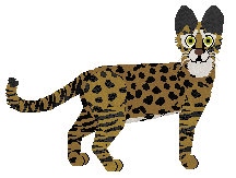 Macavity Crime of Pride — “Mufasa”