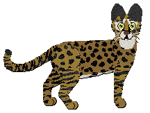 Profile image of Macavity Crime of Pride