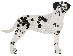 Profile image of Carriage House's Sam and Friends