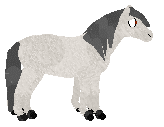 S27K's Eight Legs Are Better Then Four at SeaGlass — “Sleipnir”