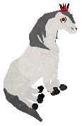 Profile image of S27K's Eight Legs Are Better Then Four at SeaGlass