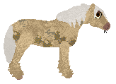 Profile image of Wapiti's Prove It