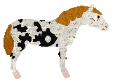 TW's Clockwork Equine at Twirlwind — “Gary”