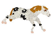 TW's Clockwork Equine at Twirlwind — “Gary”