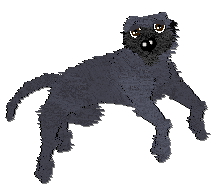 Profile image of Frogbowl Loveable Fluff