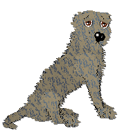 Profile image of Frogbowl She's So...!