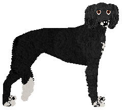 Profile image of Dragosani CZARNY KSIĄŻE