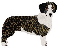 Profile image of Dragosani DEMO DOG