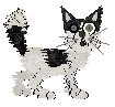 Calluna/Winter's Tiny Stalker — “Punce”