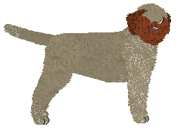 Profile image of Dragosani PATOINTELIGENCJA