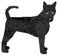 Profile image of Dragosani KRÓL KRUKÓW